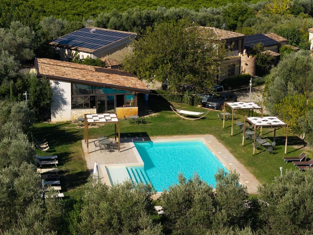 La piscina vista dall'alto, circondata da prato e ulivi