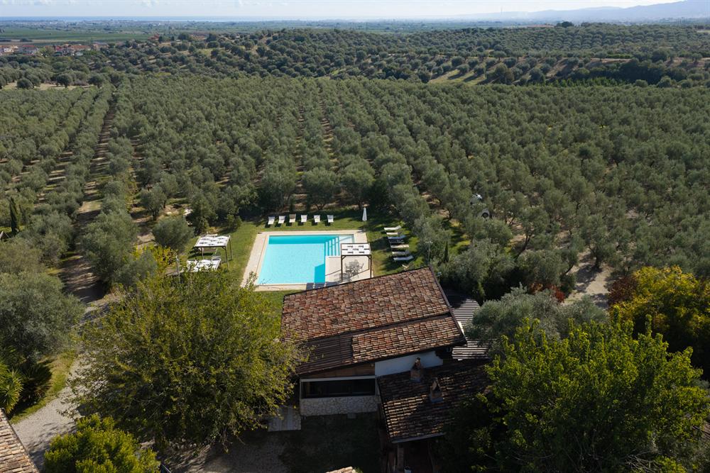 Veduta dall'alto della piscina e dell'uliveto, con la pianura e il mare all'orizzonte