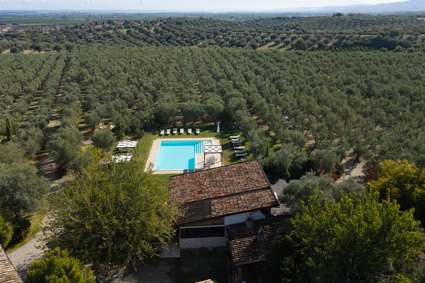 Veduta dall'alto della piscina e dell'uliveto, con la pianura e il mare Ionio all'orizzonte